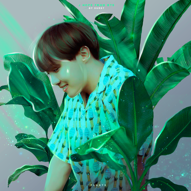 J-Hope / Plants