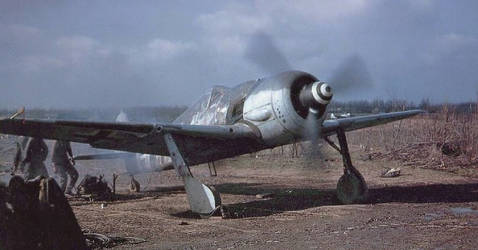 Focke Wulf 190 (Ready for battle)