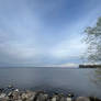 Rocky shore