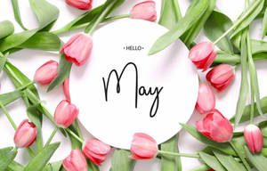 Hello May!