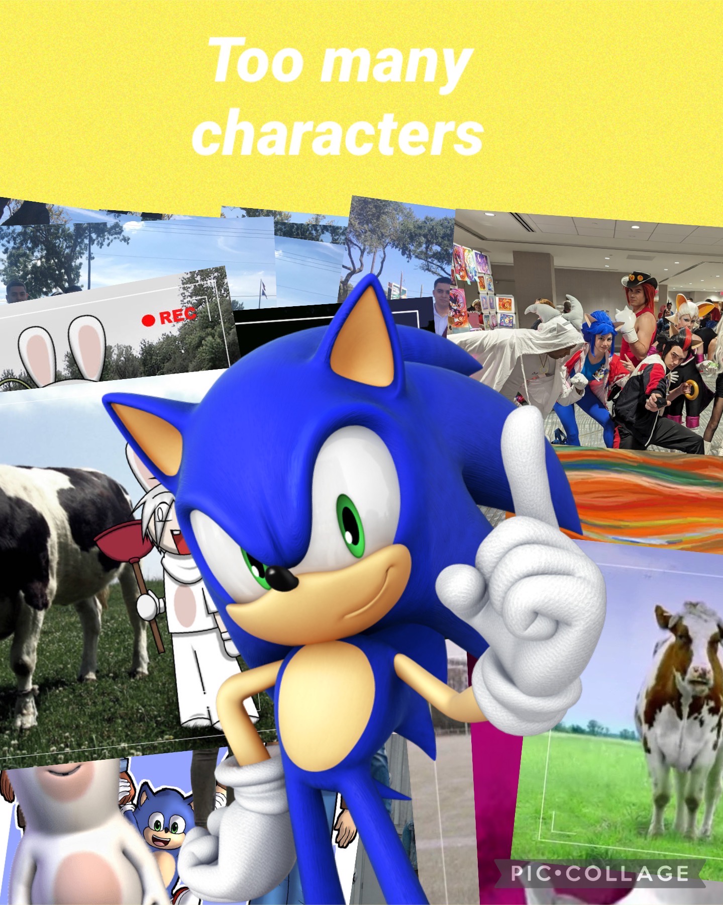 Sonic Characters Deviantart Sonic The Hedgehog: Too many characters by Sonicanimations1991 on ...