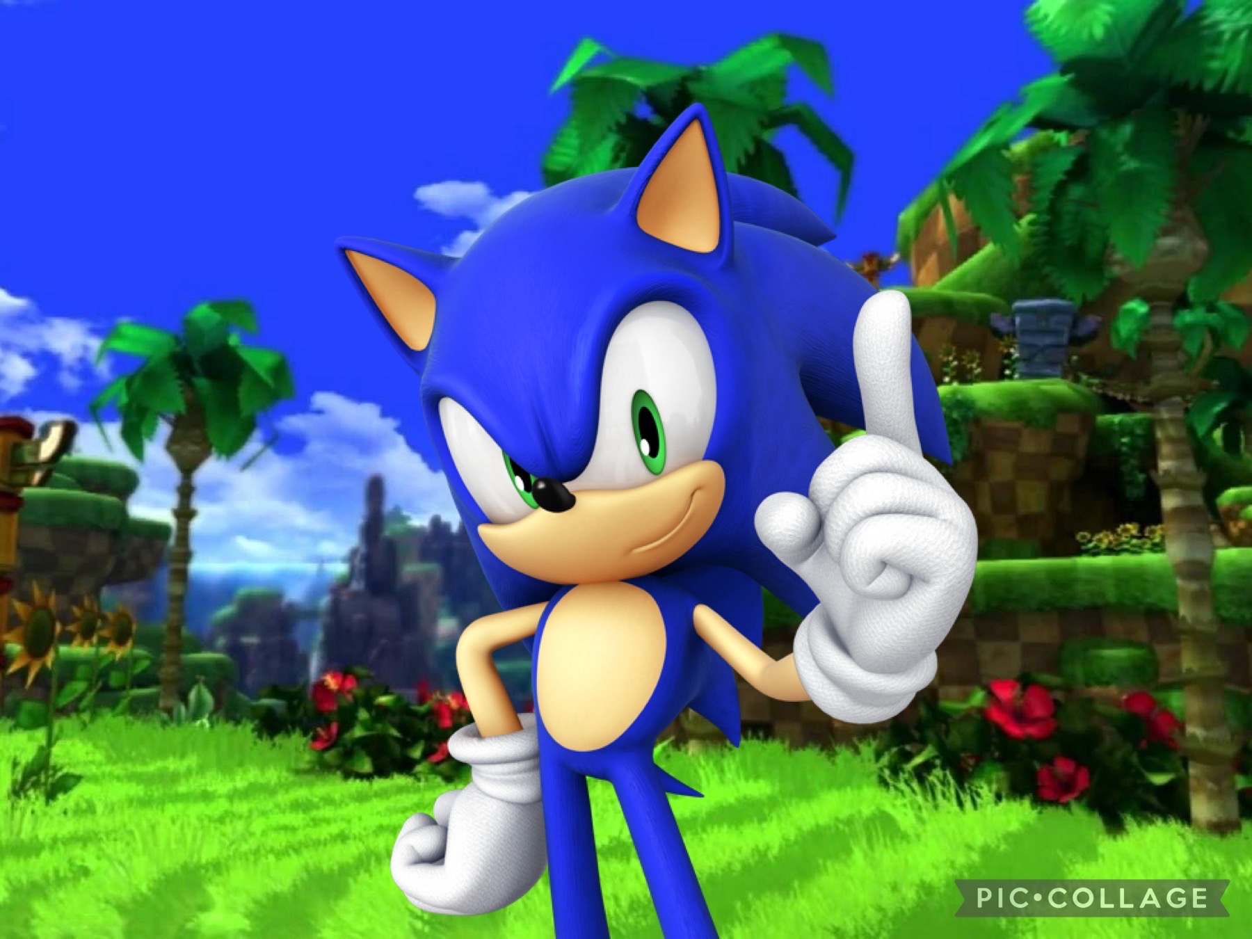 Its Sonic The Hedgehog by Sonicanimations1991 on DeviantArt