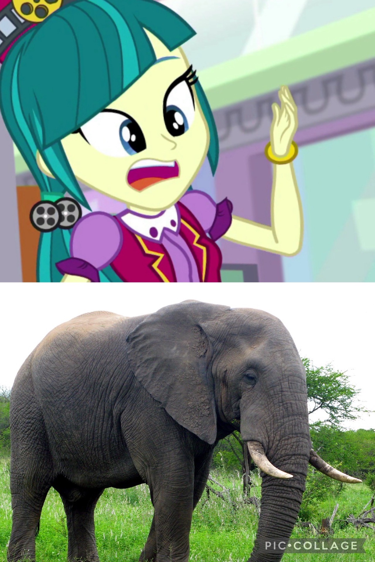 Mlp Elephant Deviantart Juniper Montage Screams like a Elephant by Sonicanimations1991 on ...