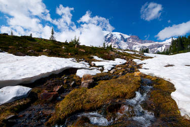 en route mount. rainier