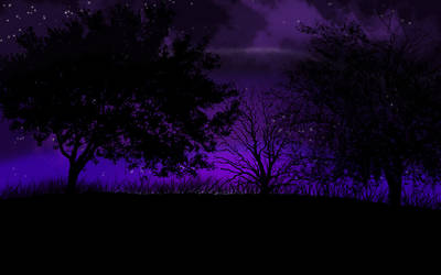 Purple Night