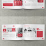 Business, Corporate Multi-purpose A4 Brochure 2