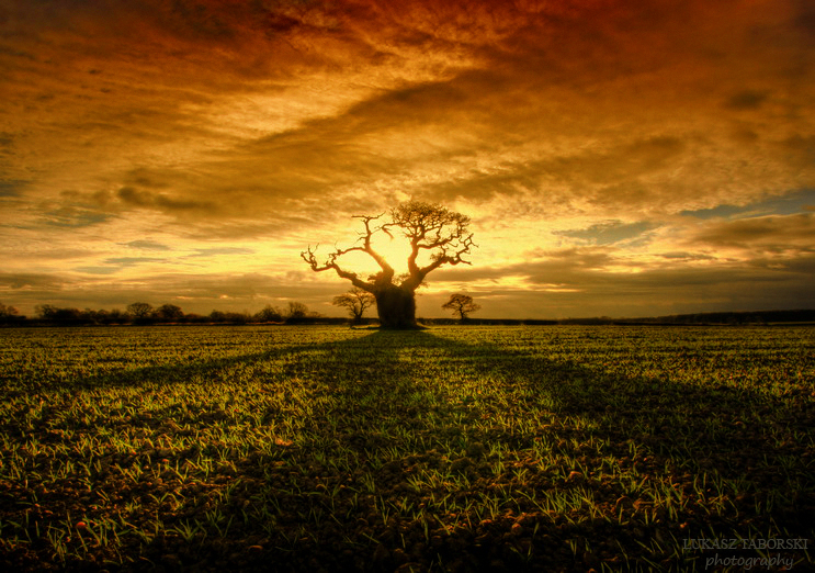 powerful by photo-earth