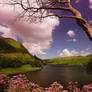 framed by nature