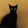 Mr. Mysterious