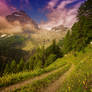 long way home