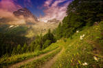 long way home by photo-earth