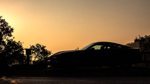 Mustang Bullit at sunrise