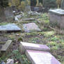 GRAVE YARD P2