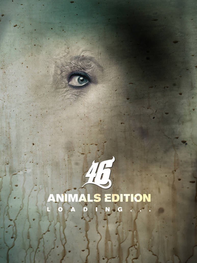 Animals edition
