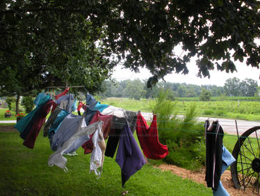 Summer Laundry