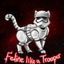 Stormtrooper Cat