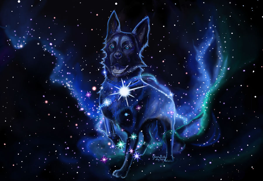 The Good Boy of Canis Major by Delight046