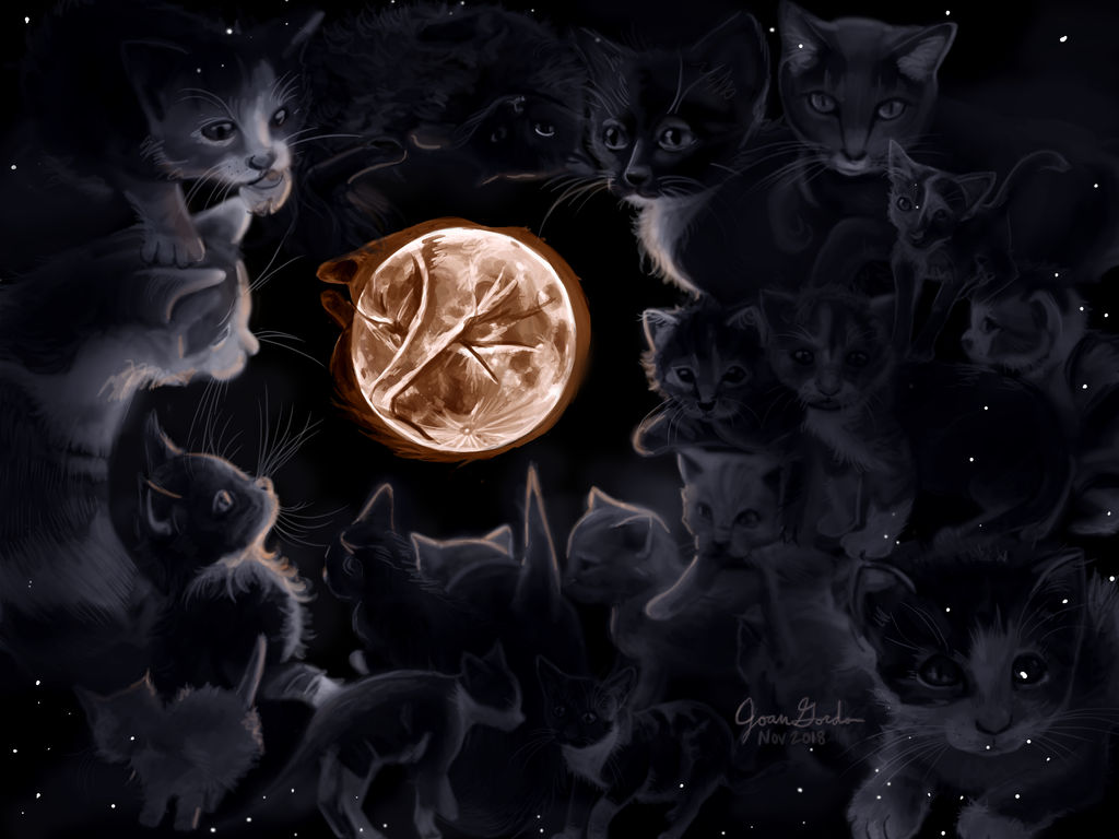 Full Moon Cat by Delight046