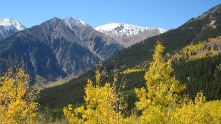 Colorado sunshine