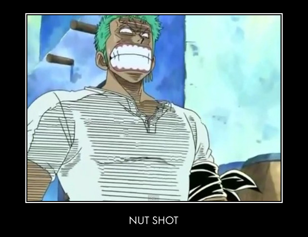 NUT SHOT