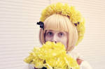 APH: Little Miss Sunshine by elliluna