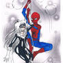 Spiderman VS Black Cat