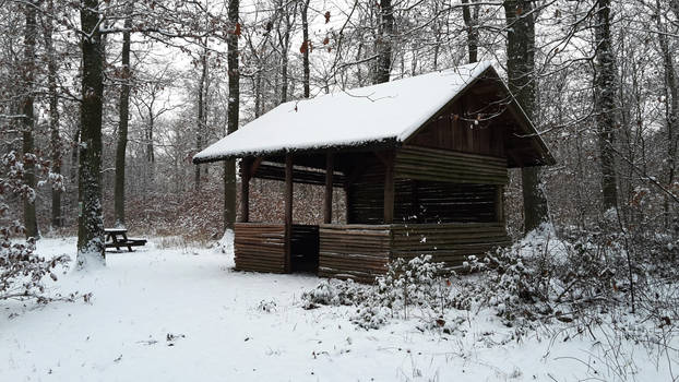 Winterimpression: Huette