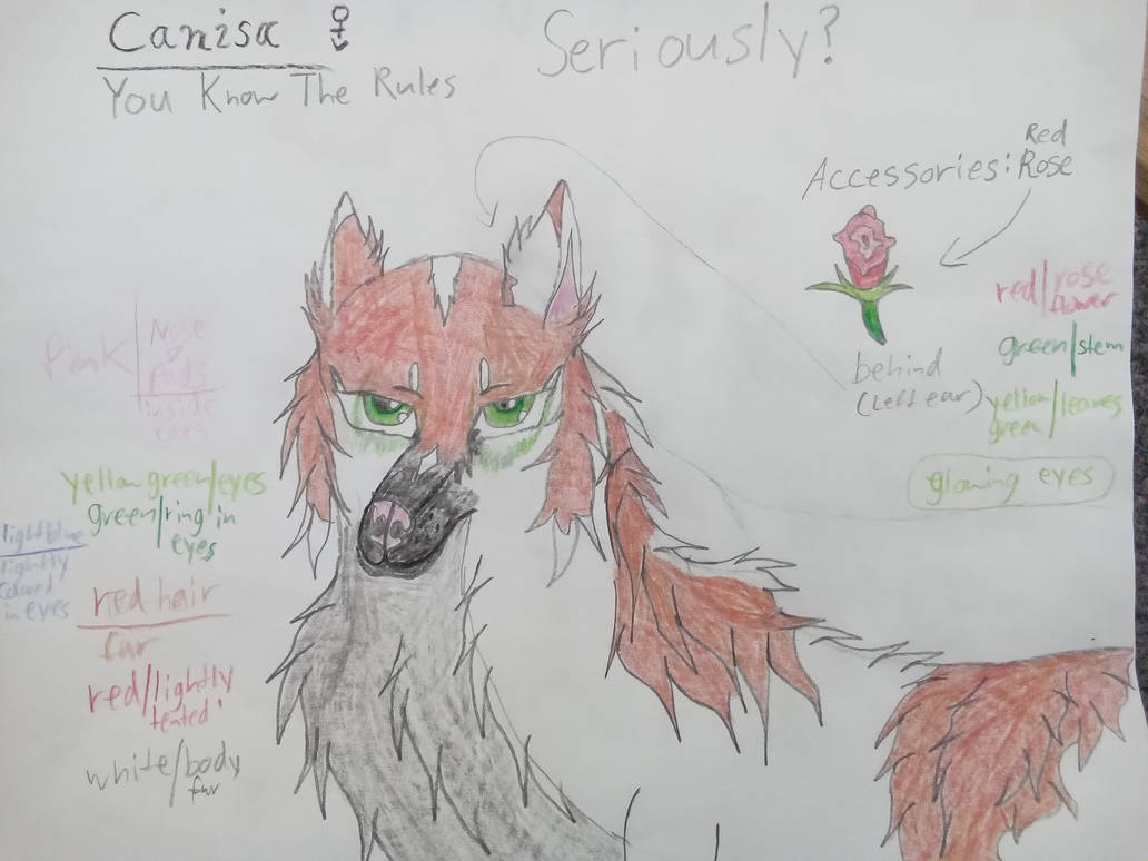 Seriously? by Hara555 on DeviantArt