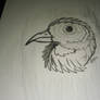 charcoal bird face