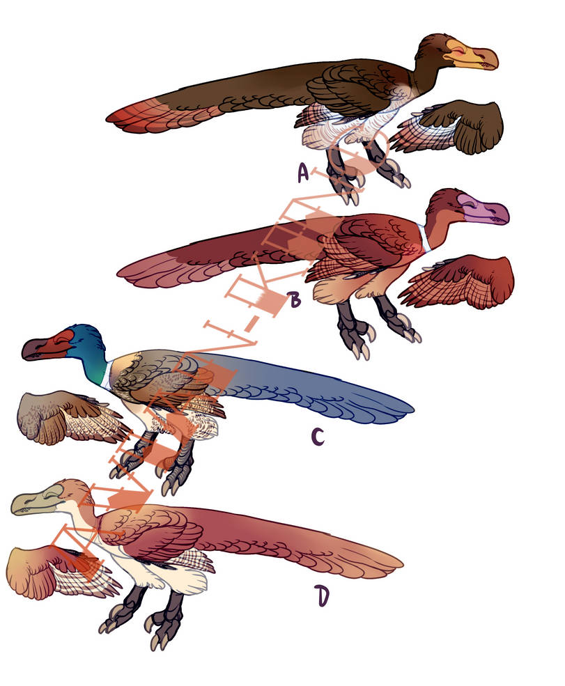 Raptor Design Concepts by Avian-king on DeviantArt