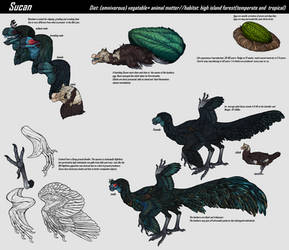 Sucan refsheet