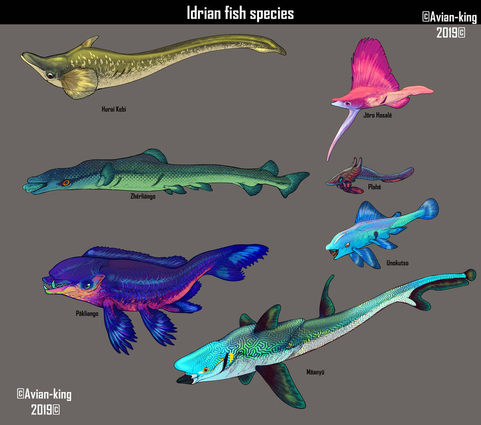 Fish of Idris {updated} by Avian-king on DeviantArt