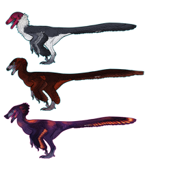 15$ raptor adopts 1 left