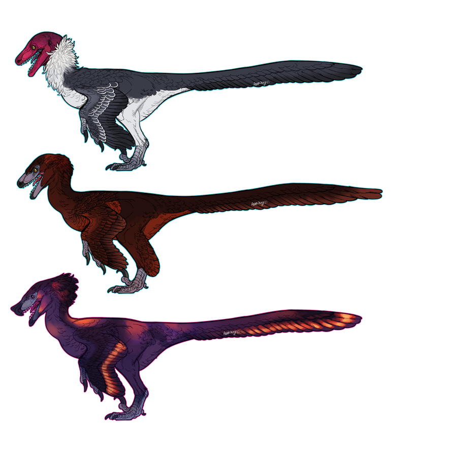15$ raptor adopts 1 left by Avian-king on DeviantArt