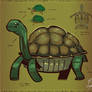 Taima the Tortoise