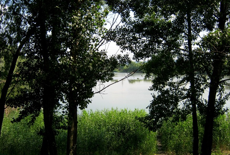The lake in Kiev