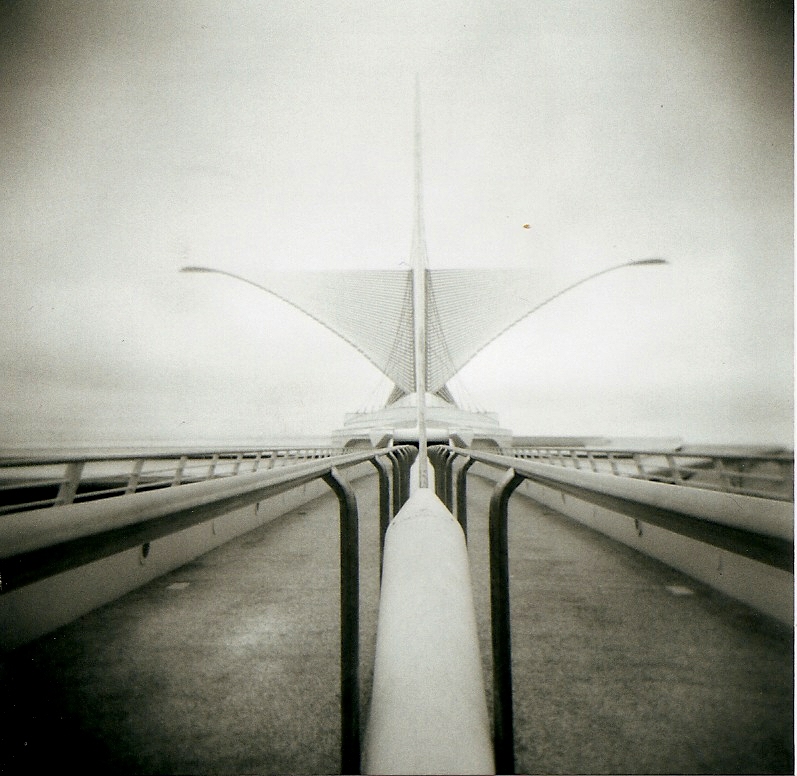 Holga 60