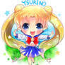 Sailor moon - Tsukino usagi