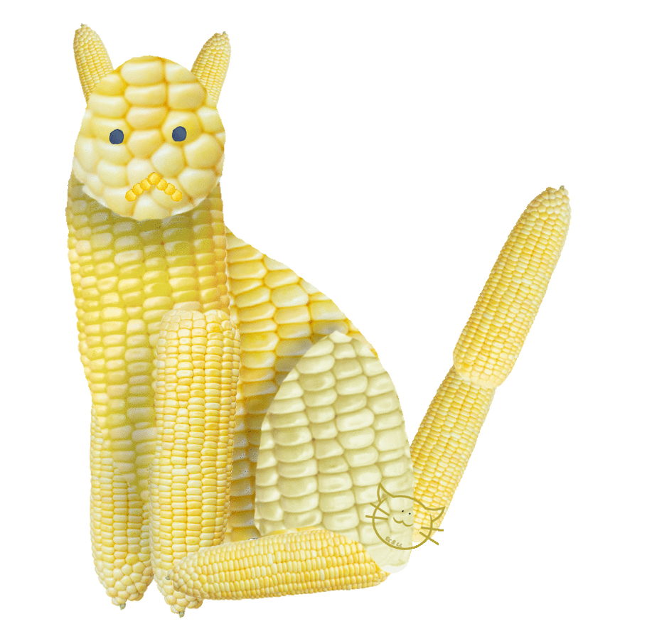 It Corn Cat by CraftyCitty on DeviantArt