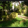 A Sun Dappled Graveyard