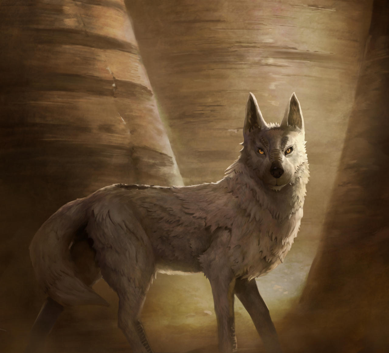 Lithe Wolf Loth Wolf by Herckeim on DeviantArt
