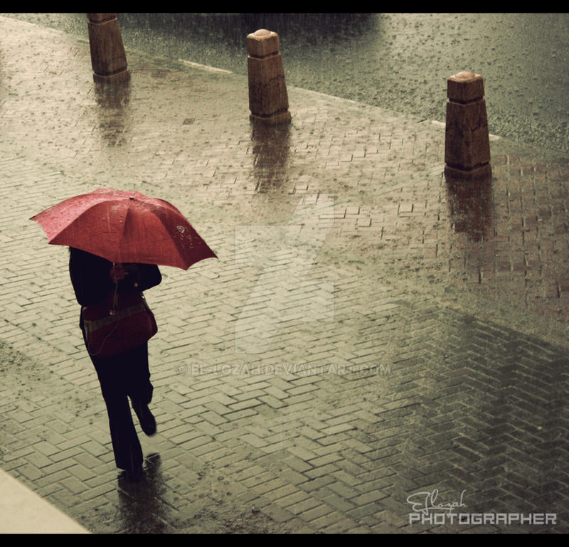 Frederic edwin rainy tropics Frederic edwin rainy tropics