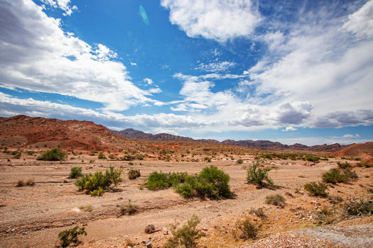 Mojave Desert