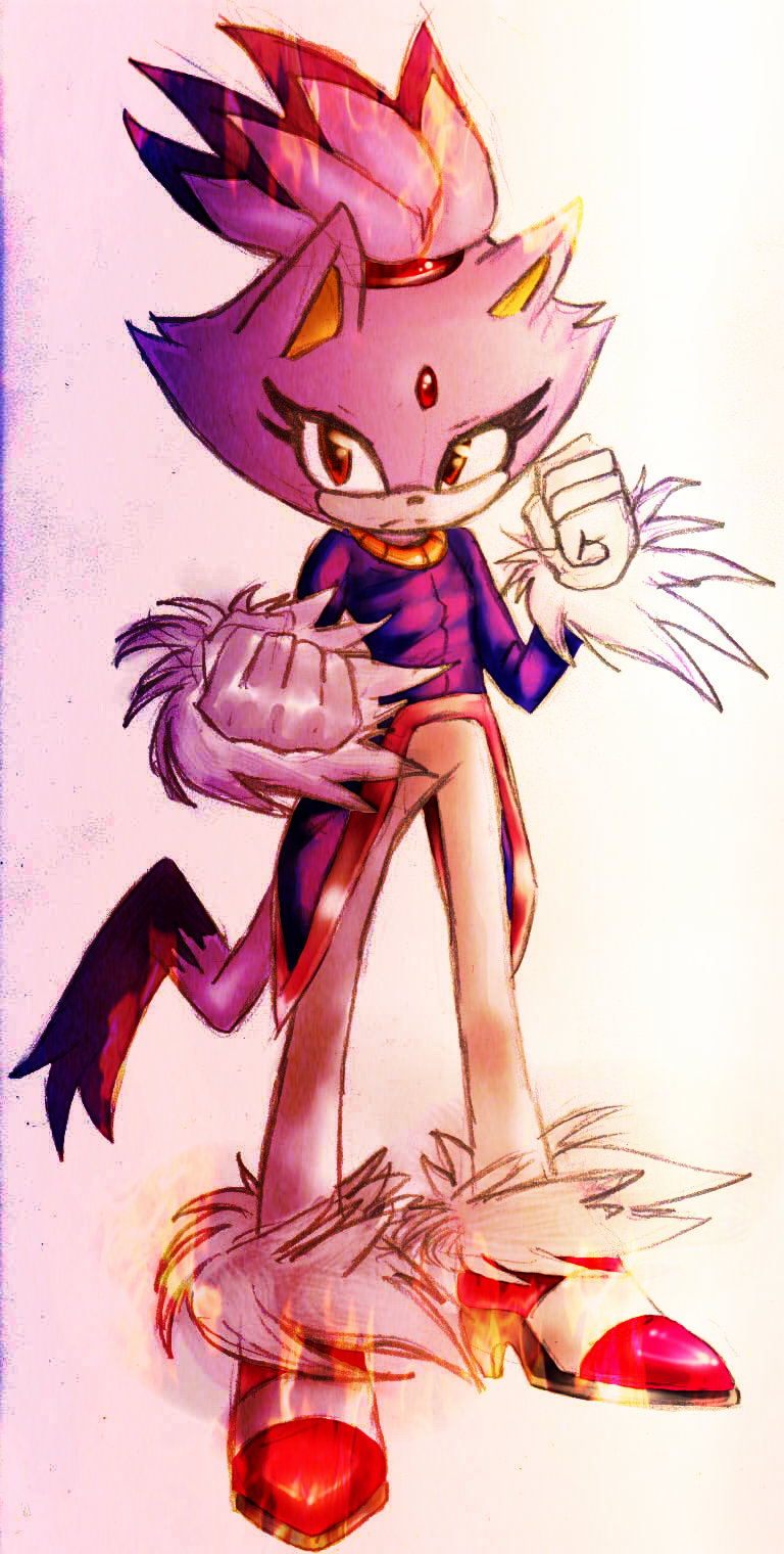 Blaze The Cat