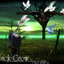 Black Crow