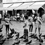 children feeding pigeons