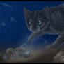 Cinderpelt's Second Chance
