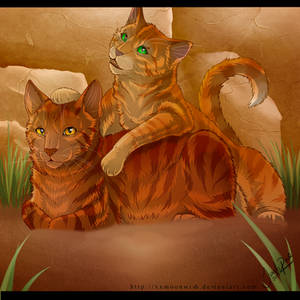 Alderpaw and Sparkpaw - spoilers -