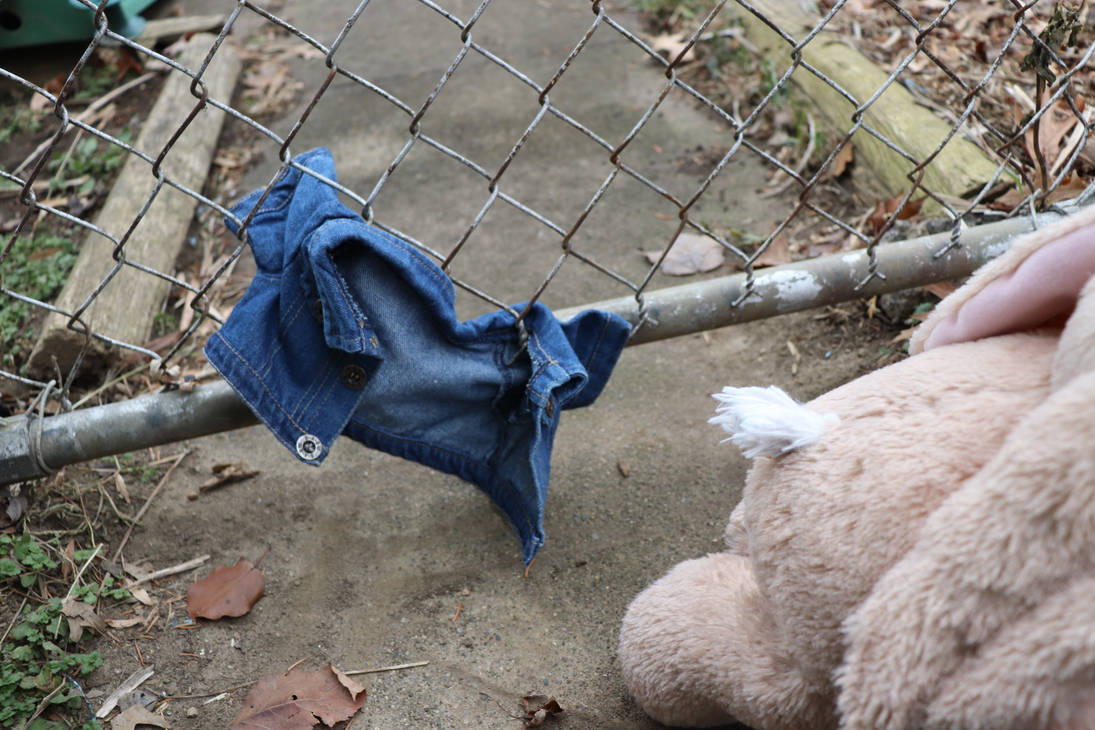 Peter Rabbit (2/3) by alisachu1742 on DeviantArt