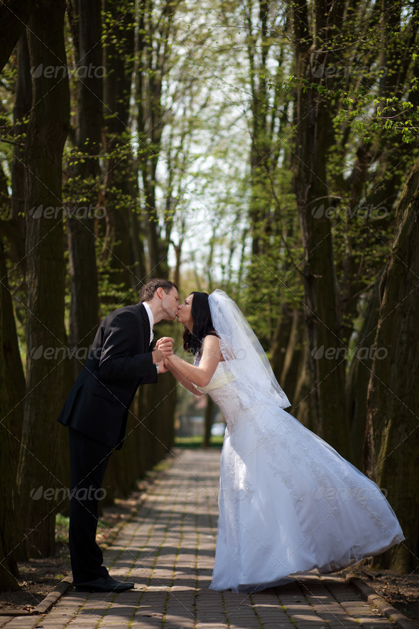 Bride and Groom Kissing on a Park Alley